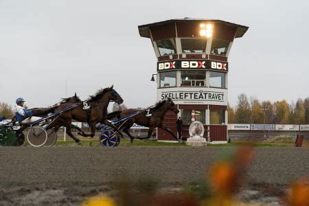 dagens spil|Dagens Spil .